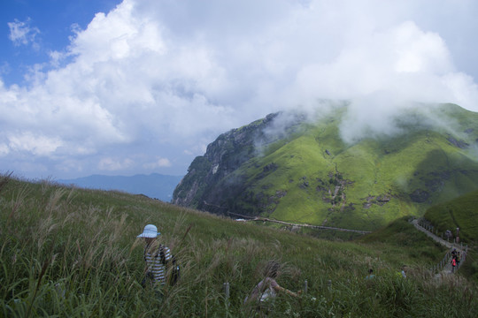 武功山高山草甸云中草原