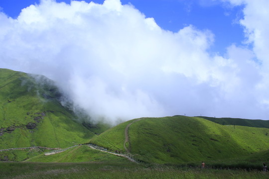 武功山高山草甸云中草原