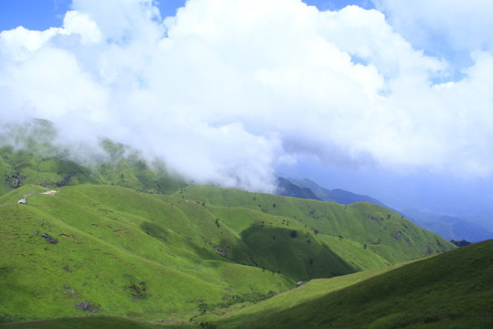 武功山高山草甸云中草原