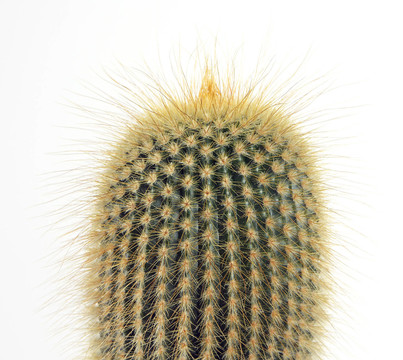 近