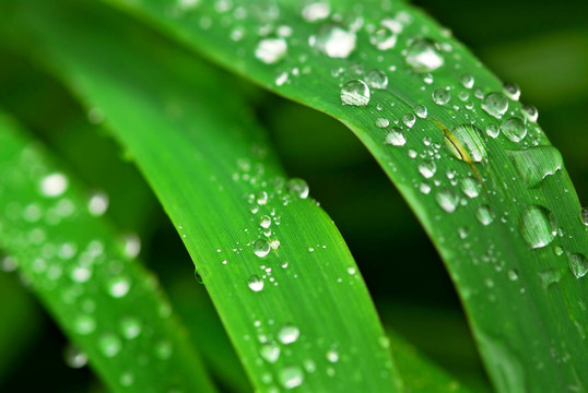 雨滴