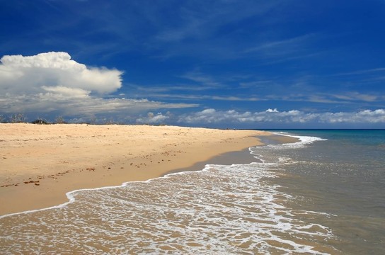 海灘