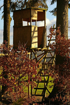 deerstand