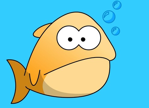弗萊德的魚