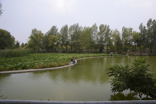 垂釣