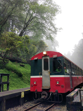 阿里山神木火車