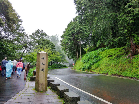 阿里山森之道