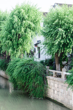 山塘街和山塘河