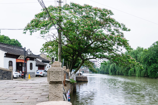 山塘街和山塘河