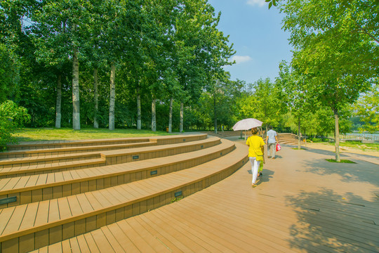公園綠樹