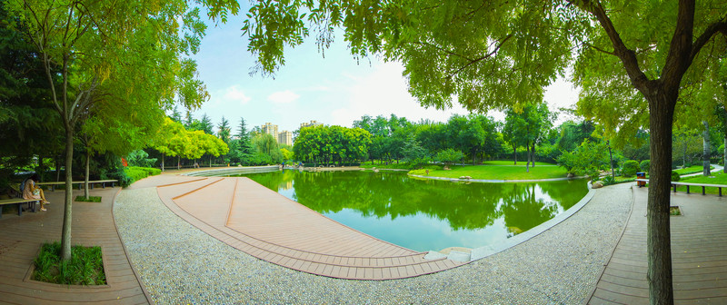 綠樹綠湖