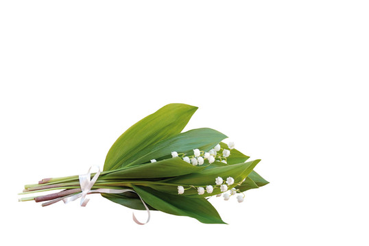 對(duì)象