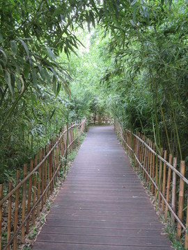竹林