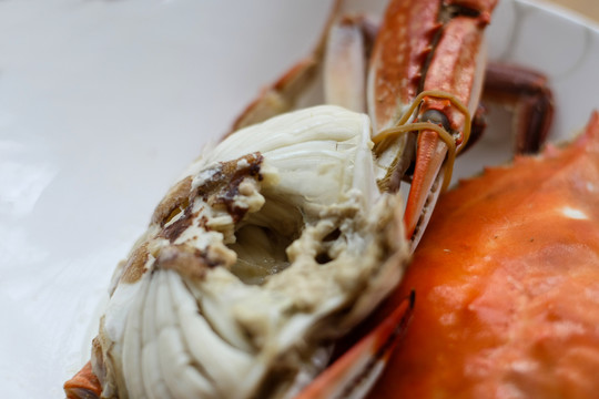 美食海蟹