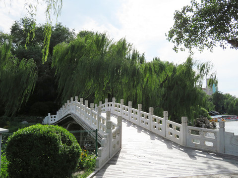 石橋 石拱橋