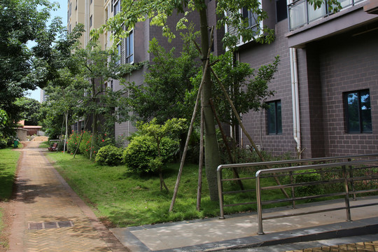 廣東徐聞 高層住宅小區(qū)內(nèi)景