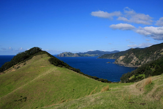 科羅曼德爾沿海步行道