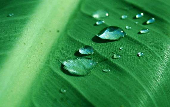 水滴