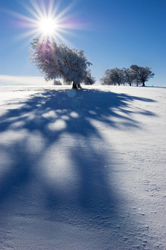 wintersonne 6