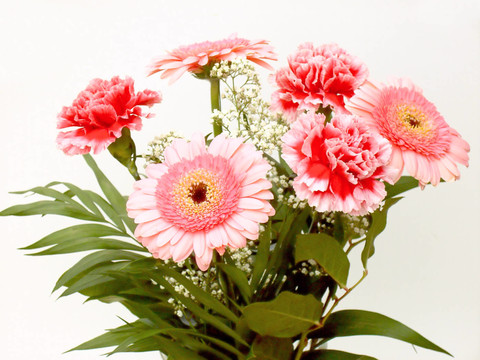花卉