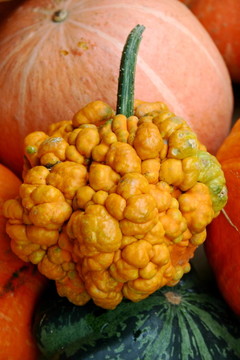 農(nóng)業(yè)