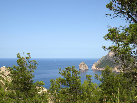 馬略卡島COLOMER，