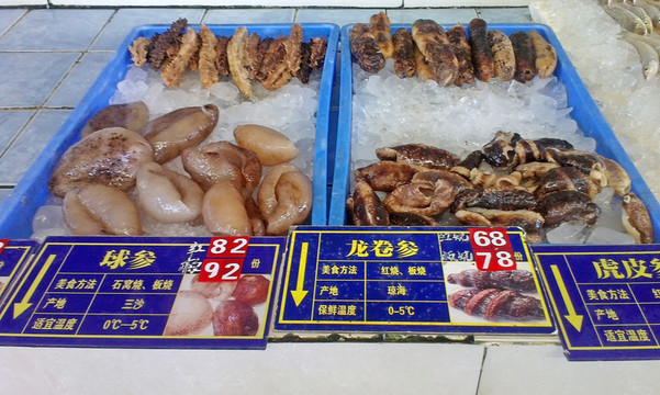 海參