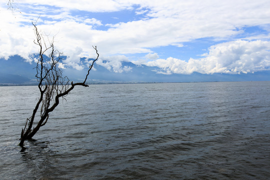 大理 洱海風光