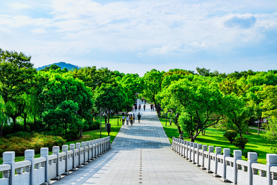 石橋 公園道路