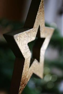 黃金星