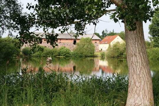 dorfweiher menzlin
