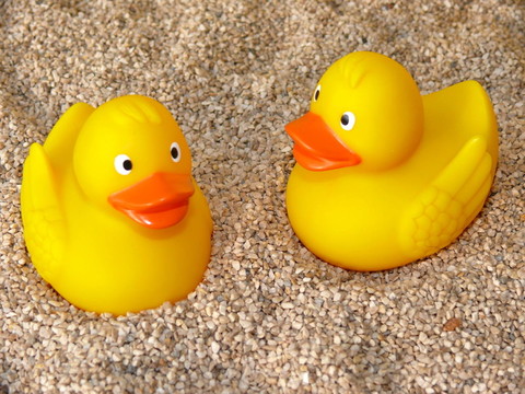badeenten