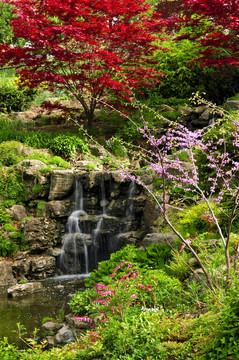 公園