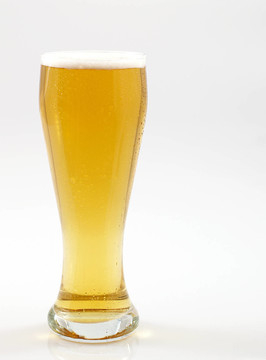啤酒杯1