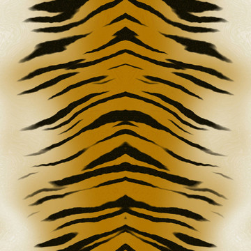 野生的