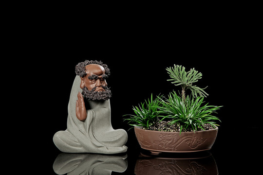 茶壺