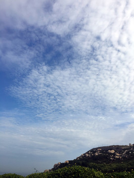 海