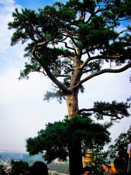 北京頤和園