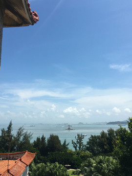 海