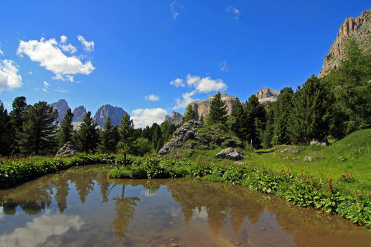 山