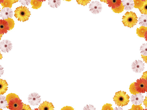 花卉