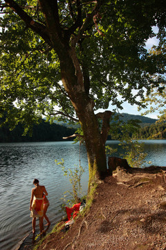 在hechtsee