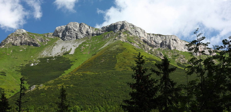 山