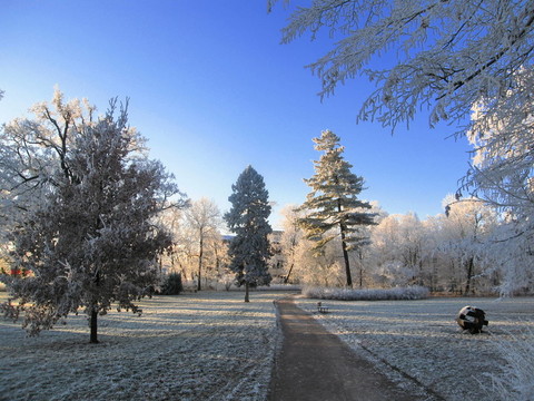 公園里的冬天