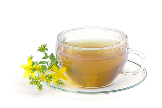 茶圣約翰草茶圣約翰草01