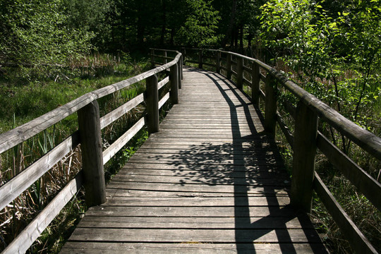 holzweg