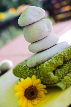 花卉