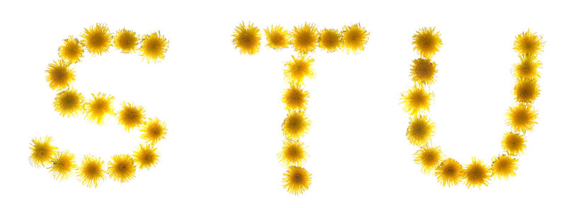 字母表