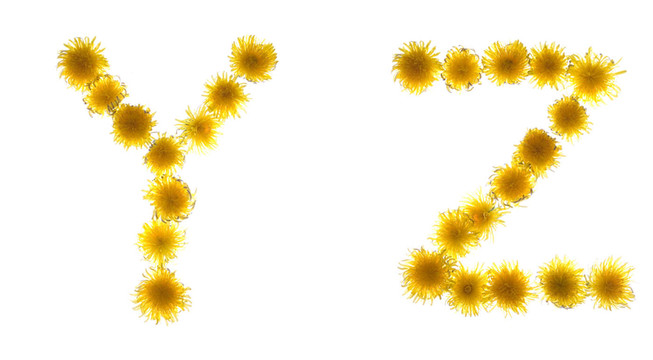 字母表