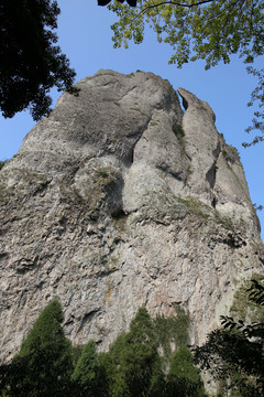 雁蕩山龍湫景區(qū)剪刀峰啄木鳥